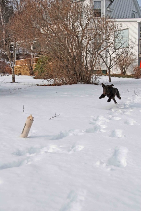 Tucker_2007 12 23 004.jpg